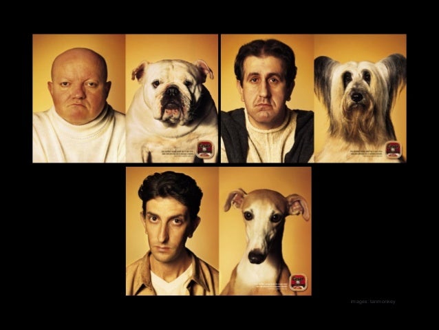Family Likeness